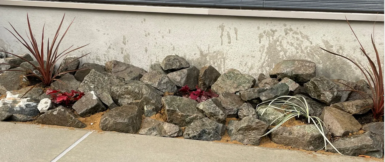 ロックガーデン