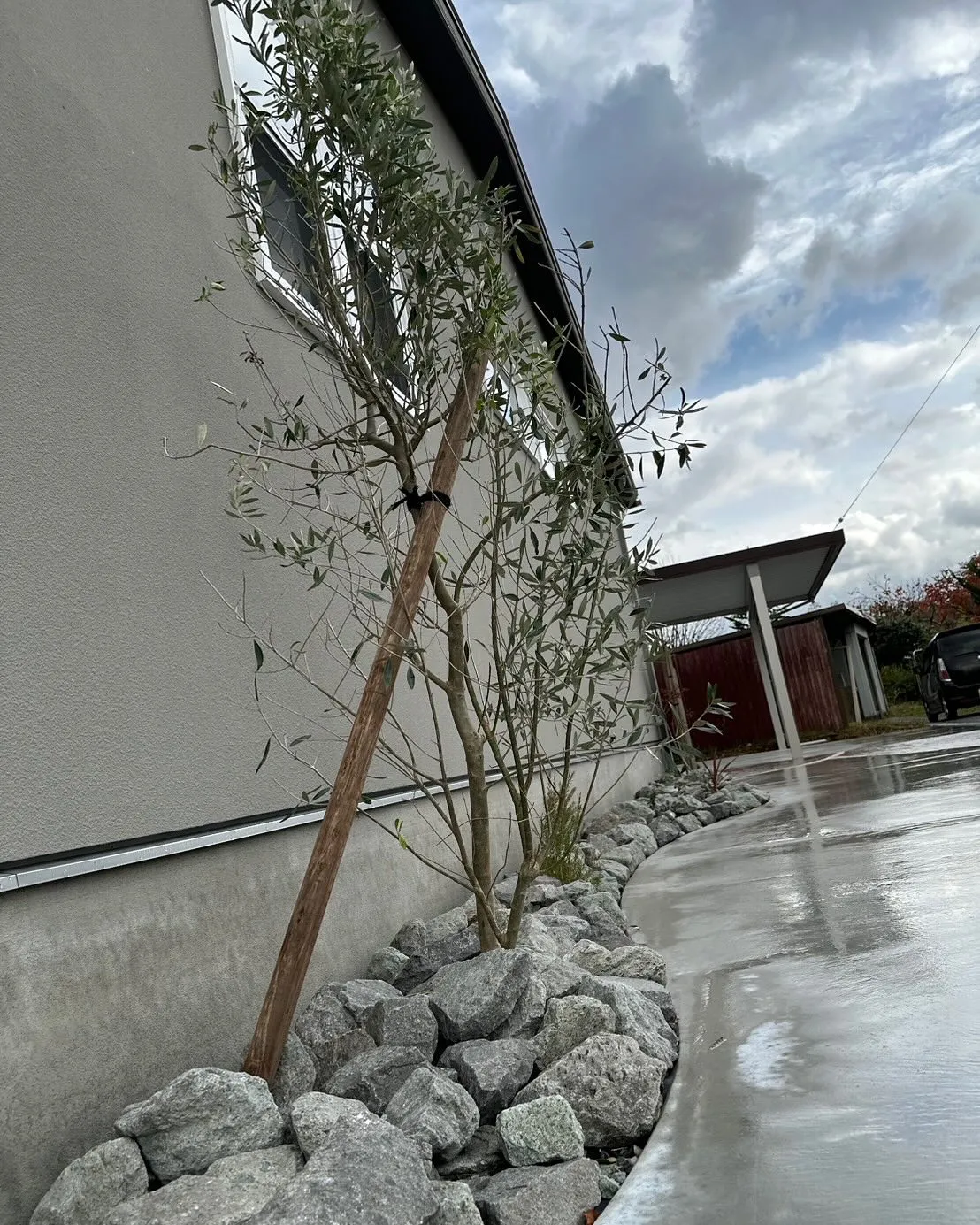 少し前に植栽をしました🌿