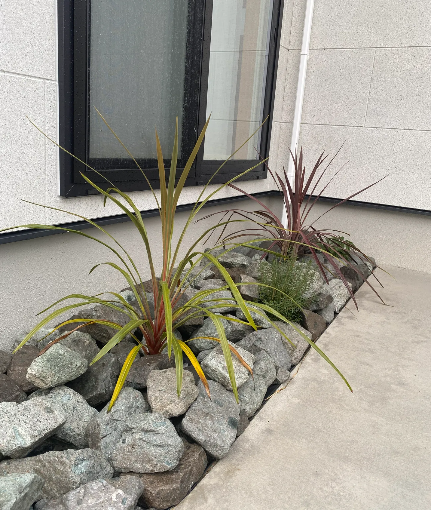 ロックガーデン